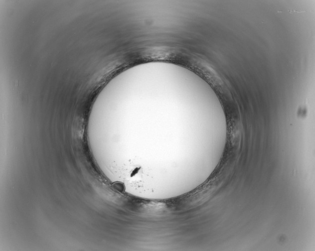 X0000093600374200711051203