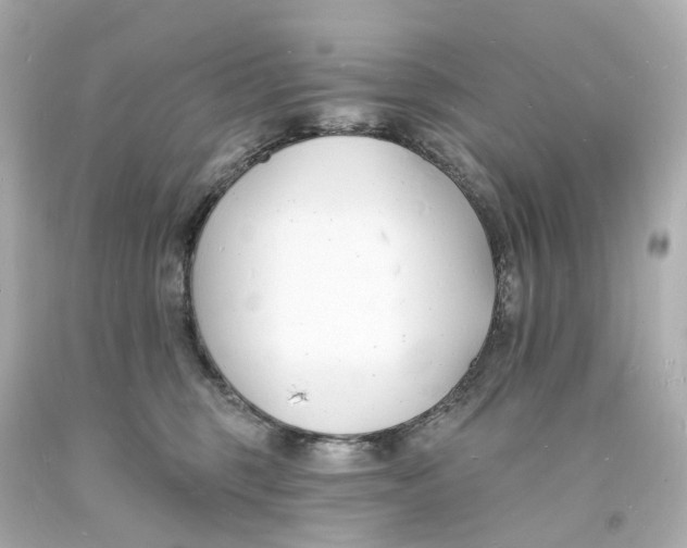 X0000093600375200711051203