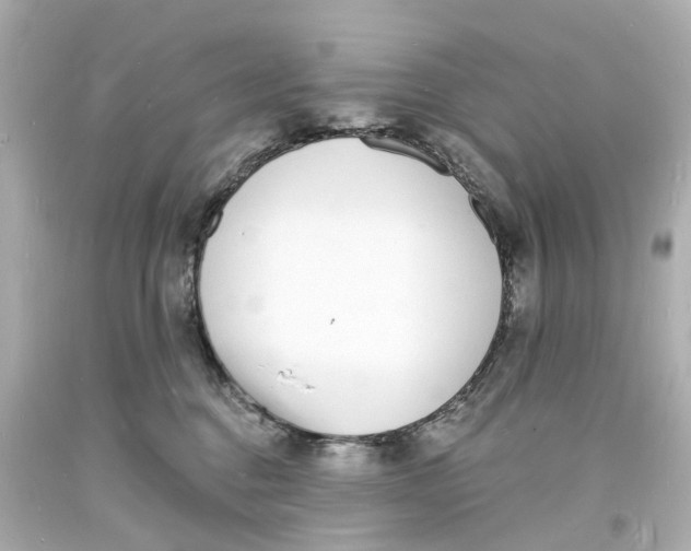 X0000093600376200711051203