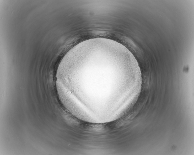 X0000093600377200711051203