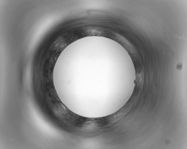 X0000093600381200711051203