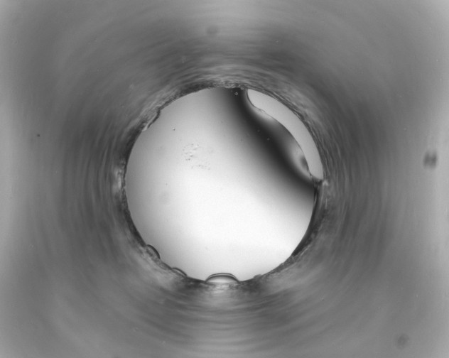 X0000093600382200711051203