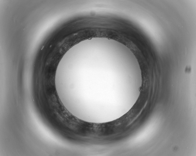 X0000093600383200711051203