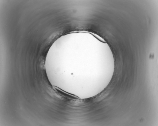 X0000093600384200711051203