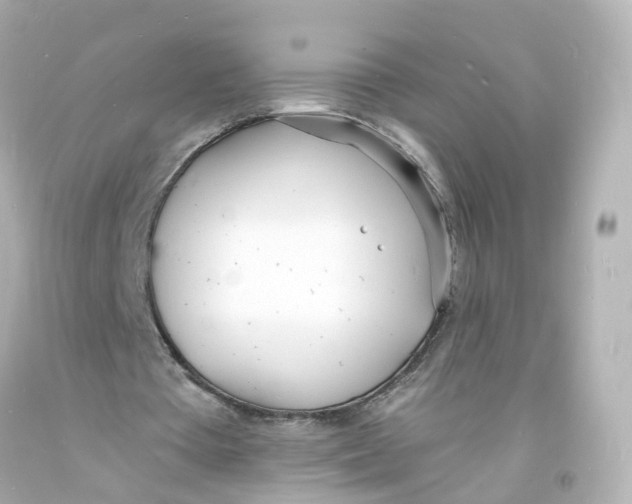 X0000093600385200711051202