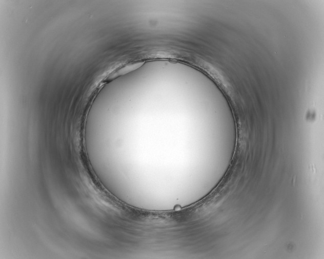 X0000093600386200711051202