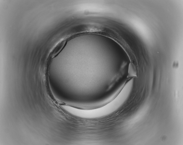 X0000093600387200711051202