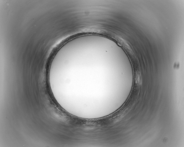 X0000093600388200711051202