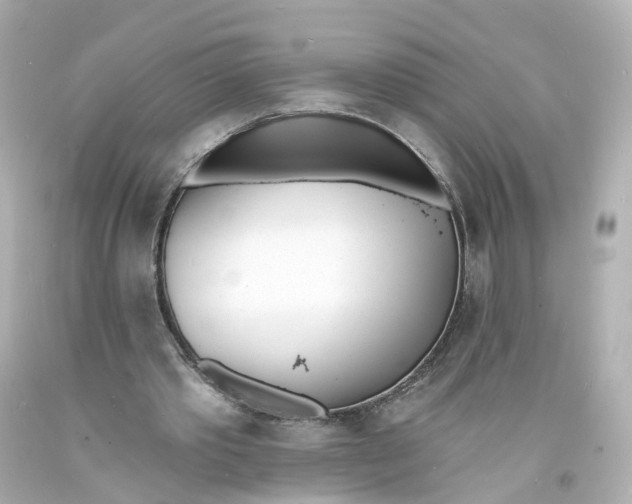 X0000093600389200711051202