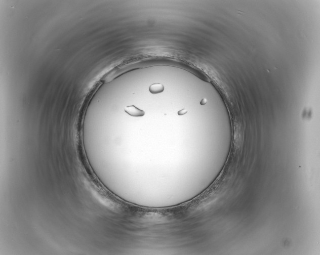 X0000093600390200711051202