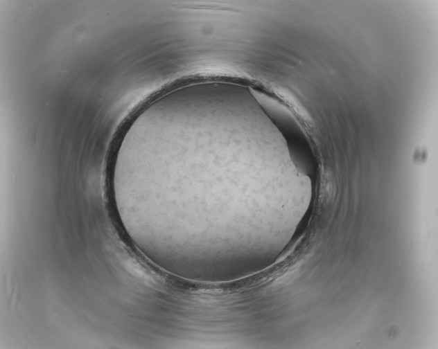 X0000093600391200711051202