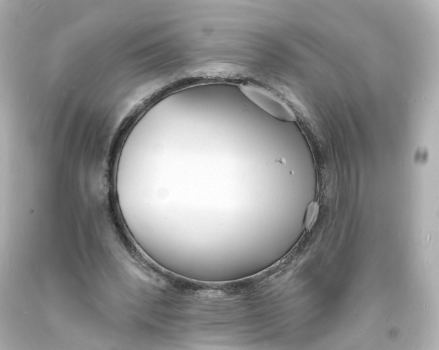 X0000093600392200711051202