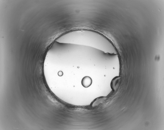 X0000093600393200711051202