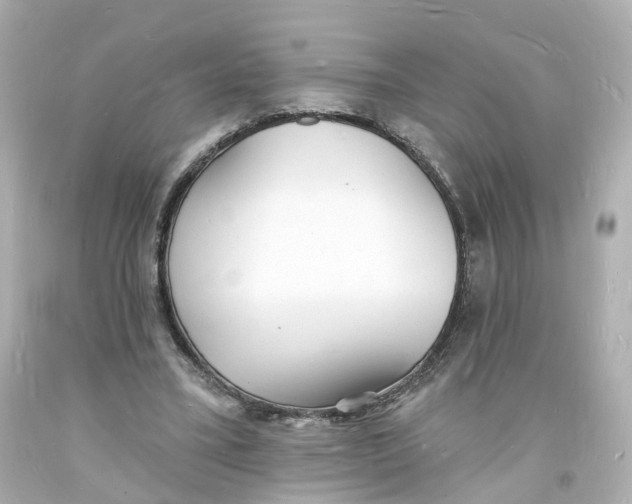 X0000093600395200711051202