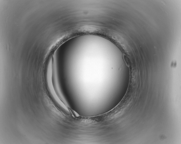 X0000093600399200711051202