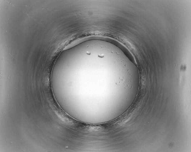 X0000093600401200711051202