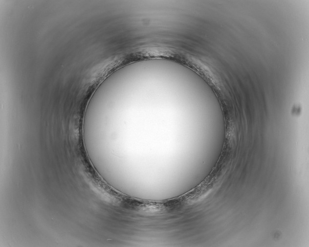 X0000093600402200711051202