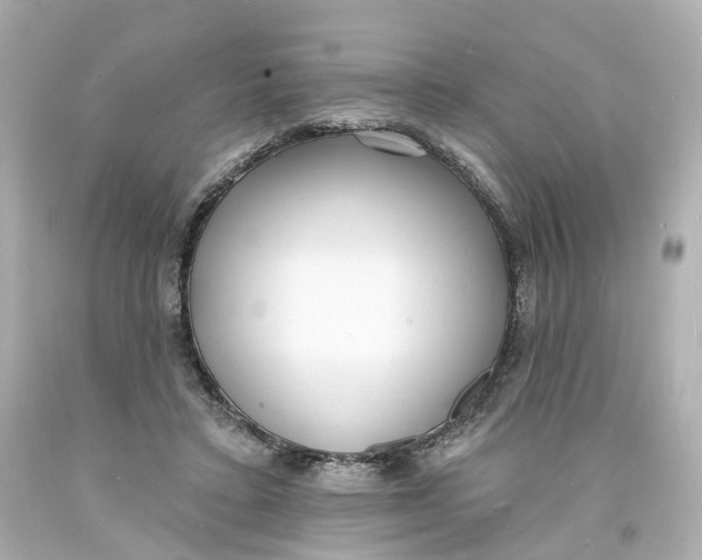 X0000093600403200711051202