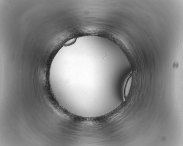 X0000093600404200711051202