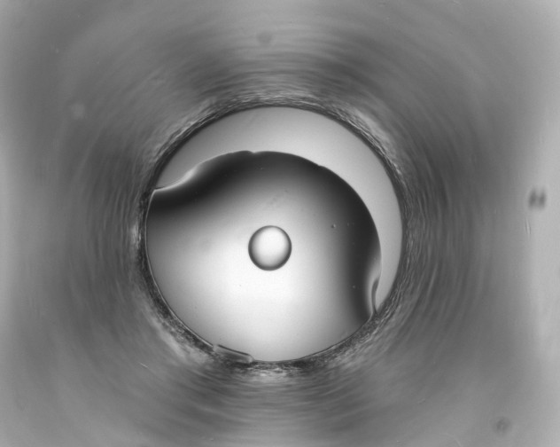 X0000093600405200711051202