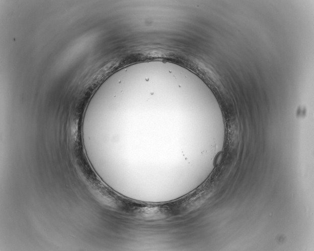 X0000093600406200711051202