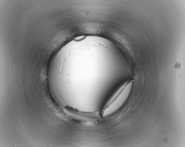 X0000093600407200711051202