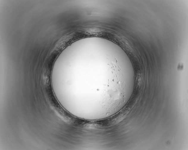 X0000093600408200711051202