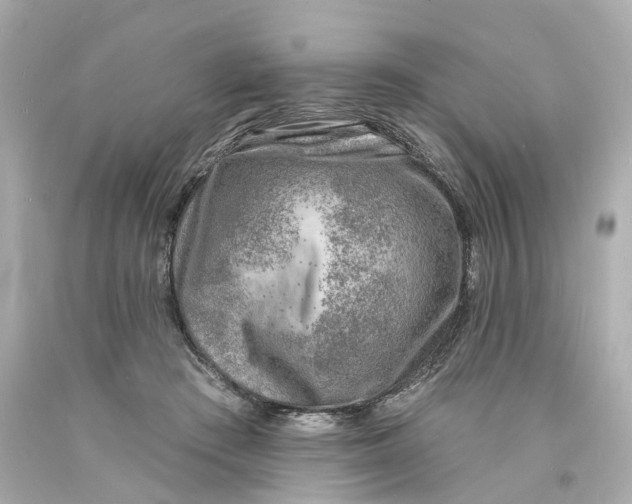 X0000093600409200711051202