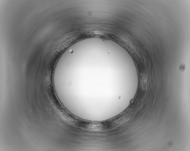 X0000093600410200711051202