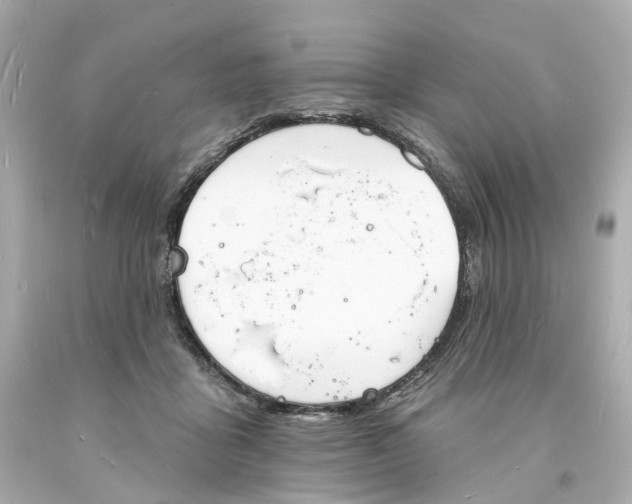 X0000093600411200711051202