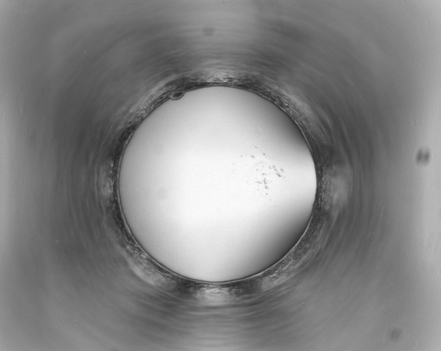 X0000093600413200711051202