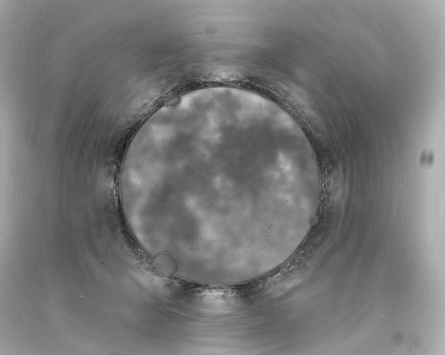 X0000093600415200711051202