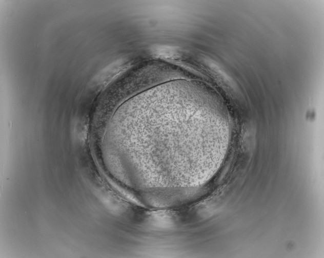 X0000093600417200711051202