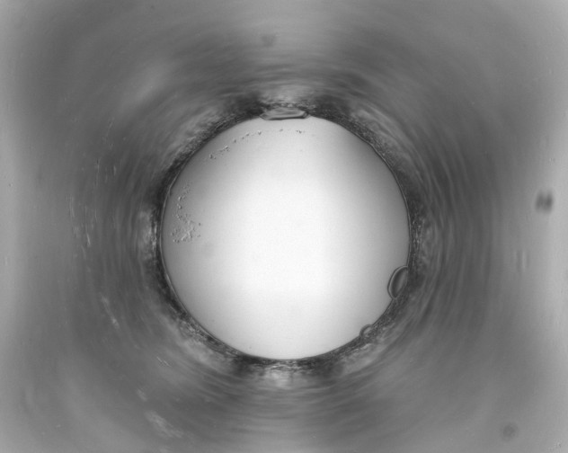 X0000093600420200711051202