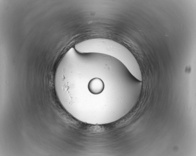 X0000093600421200711051202