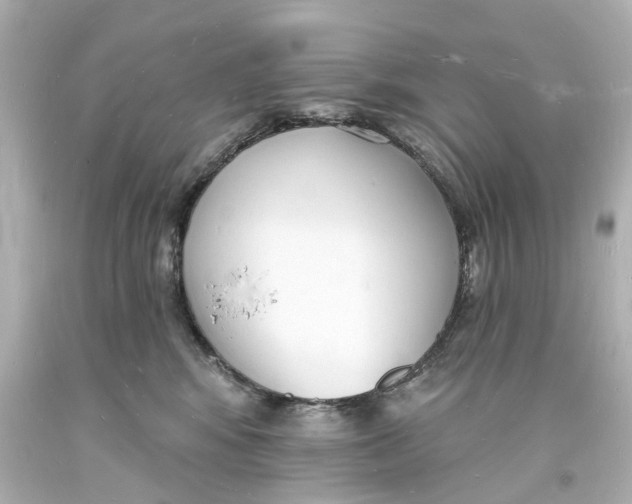 X0000093600424200711051202