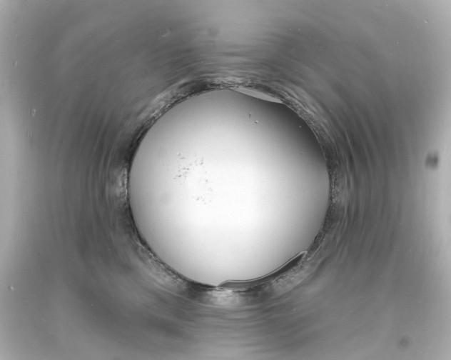 X0000093600425200711051202