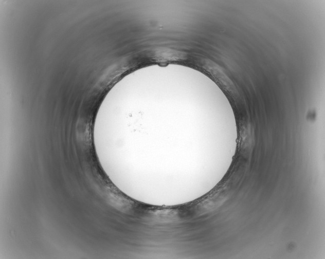 X0000093600426200711051202