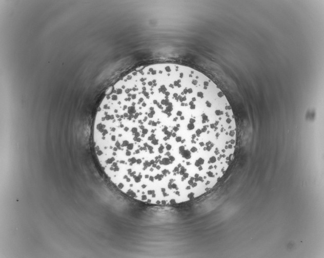 X0000093600427200711051202