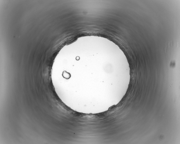 X0000093600428200711051202