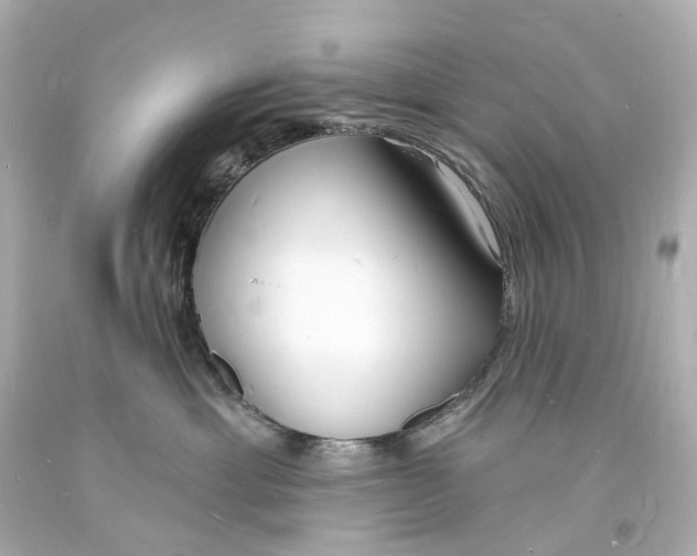 X0000093600429200711051202