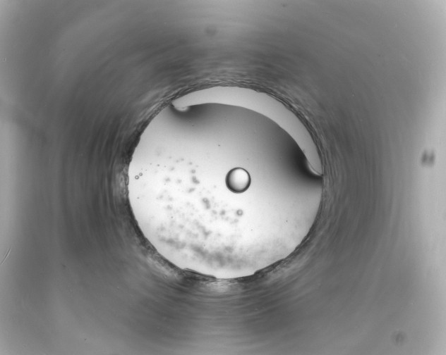 X0000093600432200711051202