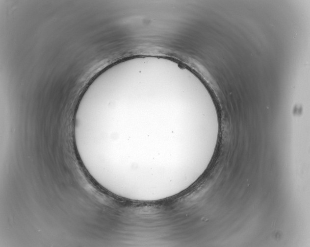 X0000093600433200711051201