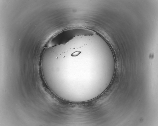 X0000093600434200711051201