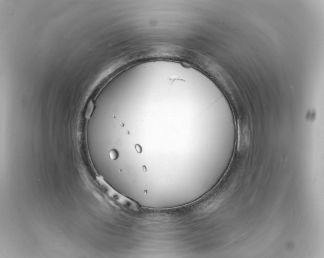 X0000093600435200711051201