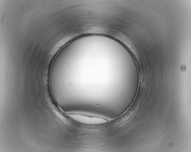 X0000093600437200711051201