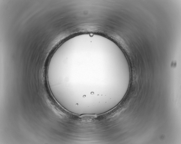 X0000093600439200711051201