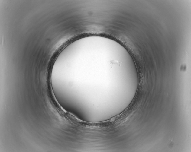 X0000093600440200711051201