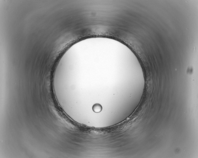 X0000093600442200711051201