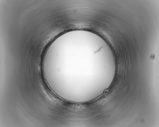 X0000093600443200711051201